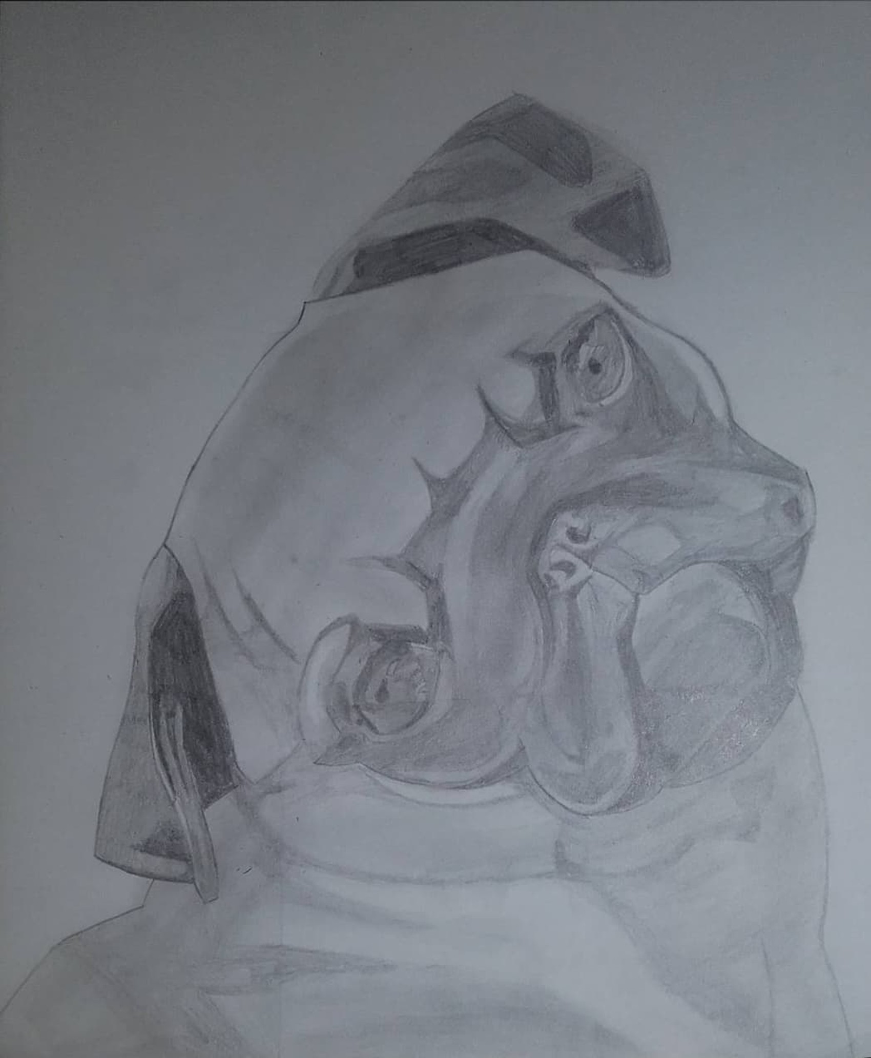 Realistic Pug